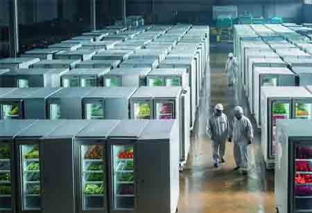 Building Dependable Commercial Refrigeration Capacity for Growing Foodservice Brands