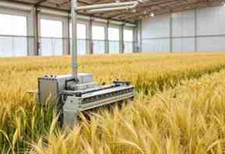 The Future of Grain Milling: AI-Powered Transformations