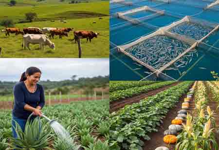 A Strategic View of Latin America's Diverse Protein Industry