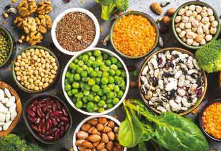 How Vegan Protein Is Reshaping the Global Food Industry