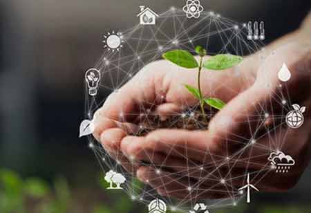 The Impact of Food and Beverage Consulting on Business Success