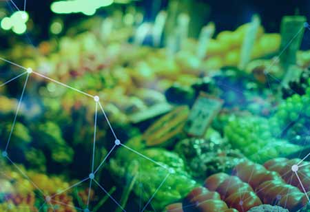 Advantages Of Robotics And Automation In The Food Industry
