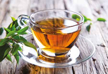 Renji Gunadi, Global Commercial Manager - Tea Category, Haldin | Food Business Review Renji Gunadi, Global Commercial Manager - Tea Category, Haldin | Food Business Review
