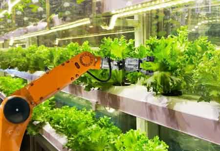 Automating food processing for the benefit of processors