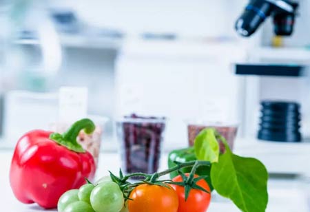 The Advantages of Software for Wholesale Food Distribution