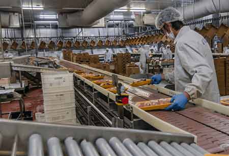 What Role Can Robotics Play In Bakery Production?