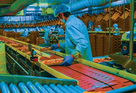 Alternative Protein Sources Enabling An Efficient Fulfilment of Rising Protein Demands    