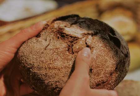 Exploring The Flourishing Realm Of Low-Carb Bread: Trends In Health And Palatability