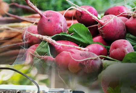 Mike Werling, Product Development Manager, Cooper Farms | Food Business Review Mike Werling, Product Development Manager, Cooper Farms | Food Business Review