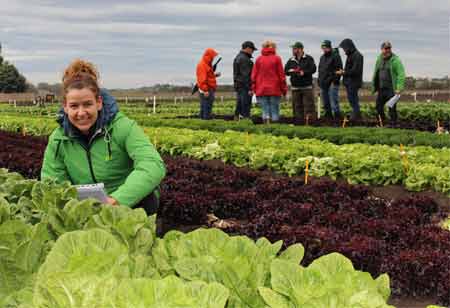 Frances Tolson, Product Development Manager at Rijk Zwaan | Food Business Review