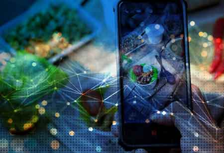 Leveraging Food Brokers to Expand Businesses