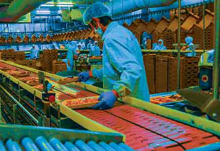 Important New Technologies That Poultry Farming Industry Must Adapt