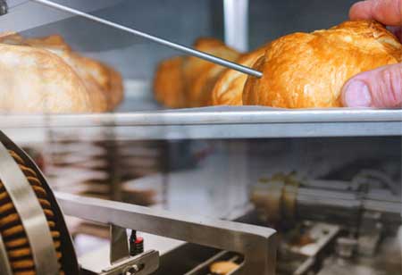 The Pillars of Alternative Protein Technology