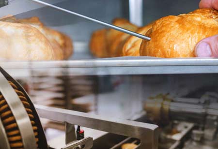 Alternative Food Sources Expanding Its Growth Into the Ecospace