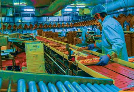 Advancements Impacting Microbiological Testing for Food Safety