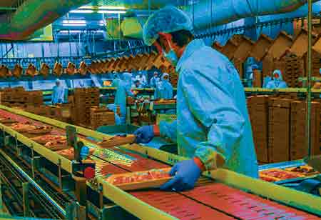 Irma De Toni Berger, R&D and Quality Director, Alfonzo Rivas & Cia | Food Business Review