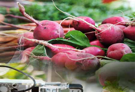 Transforming Food Processing Industry Through Industry 4.0