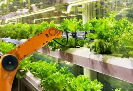 Why an Online Food Delivery System is Goodfor Restaurant Business?