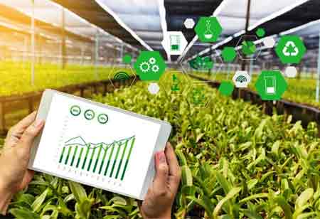 Liliana Caimacan, Head of Global Innovation, Tata Global Beverages | Food Business Review
