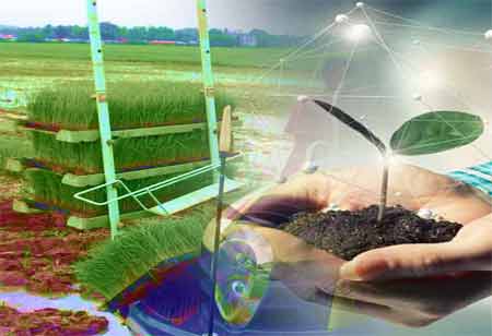 Applications of Automation in the Production and Distribution of Food