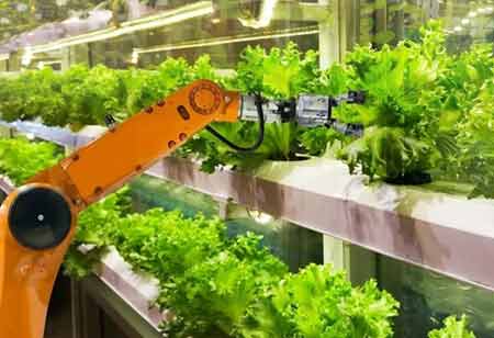 Application Of Digital Innovation To Combat Food Waste