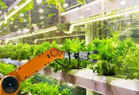 Johnson Heller Joshua, Food Business Review | Food Business Review Johnson Heller Joshua, Food Business Review | Food Business Review