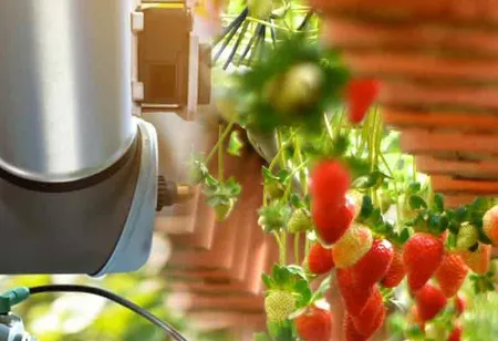 Sustaining Our Pets and Planet: The Imperative of Sustainability in Pet Food Production