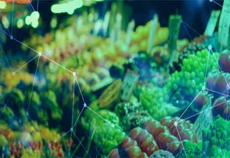 Robert Erhard, Head Of Dairy, Corporate Sustainable Agricultural Development, Nestle | Food Business Review Robert Erhard, Head Of Dairy, Corporate Sustainable Agricultural Development, Nestle | Food Business Review