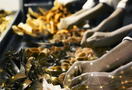 Attributes of Bakery Management Systems