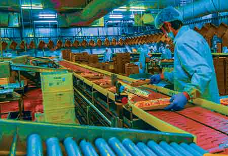 Evan Piekara, Director, Change Management, Nestlé | Food Business Review