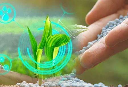 The Road to Profitability with Microbe Produced Proteins