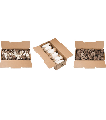 Robin Park, Enviro Mushroom Farm | Food Business Review | Top Organic Food Companies in Canada