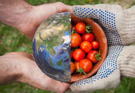 Dr. Adeniyi Odugbemi, PhD, Global Director of Food Safety and Food Defense, ADM | Food Business Review