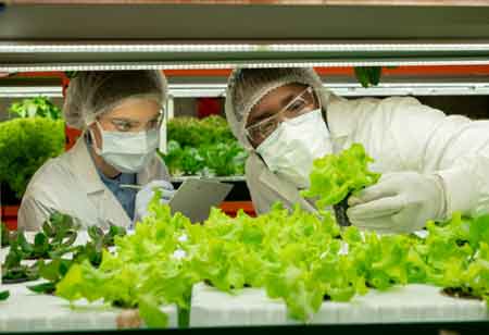 Food Processing Solutions Reshaping the Future of Sustainable Food in Latin America