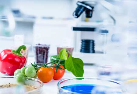 Foodservice Design and Consulting Enhancing Culinary Experiences with Innovation