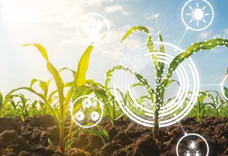Salome Santos Lorenzo, Agriculture Director, AZUCARERA | Food Business Review