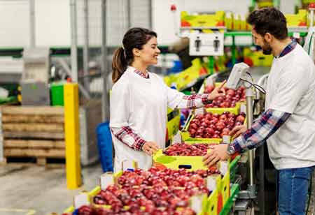 Reimagining Fruit: The Future of Flavor and Nutrition