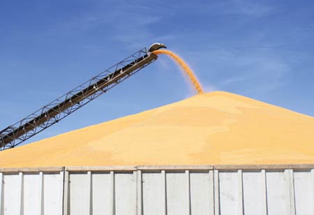 Transforming Grain Milling Through AI-Powered Innovations