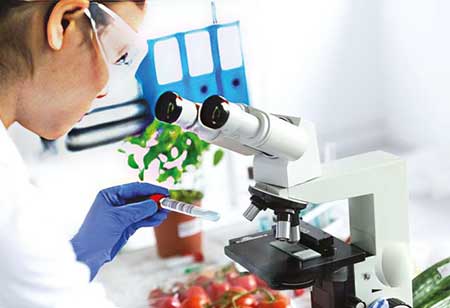 Karen Singley, Director Food Safety and Technical Services, Jack In the Box | Food Business Review