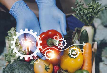 Optimizing the Food Supply Chain: The Overlooked Synergy Between 4PL Providers and Foodservice Equipment Efficiency