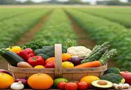 Unlocking the Benefits of Sustainable Food Manufacturing