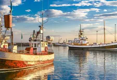 The Role of Digital Innovation in Modern Seafood Supply Chains
