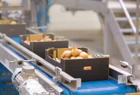 Reshaping the Gourmet Supply Chain: Innovations Driving APACs Premium Food Sector