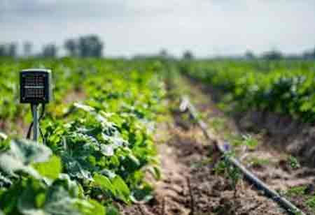 Revolutionizing Agriculture with Advanced Grain Milling Solutions
