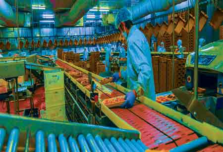Advancements in Cold Storage Technology