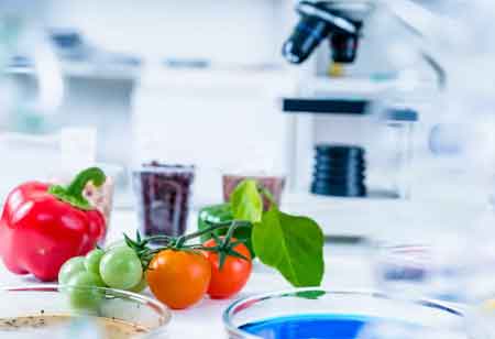 Evolution of Excellence: The Impact of Technology on Wine Quality