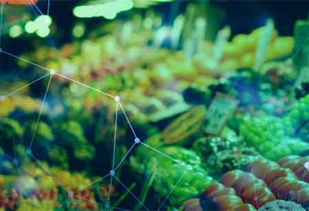 Why is Temperature Controlled Packaging Important?