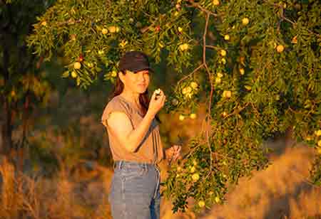 Alisha Taff, Founder & Owner, Just Jujubes | Food Business Review